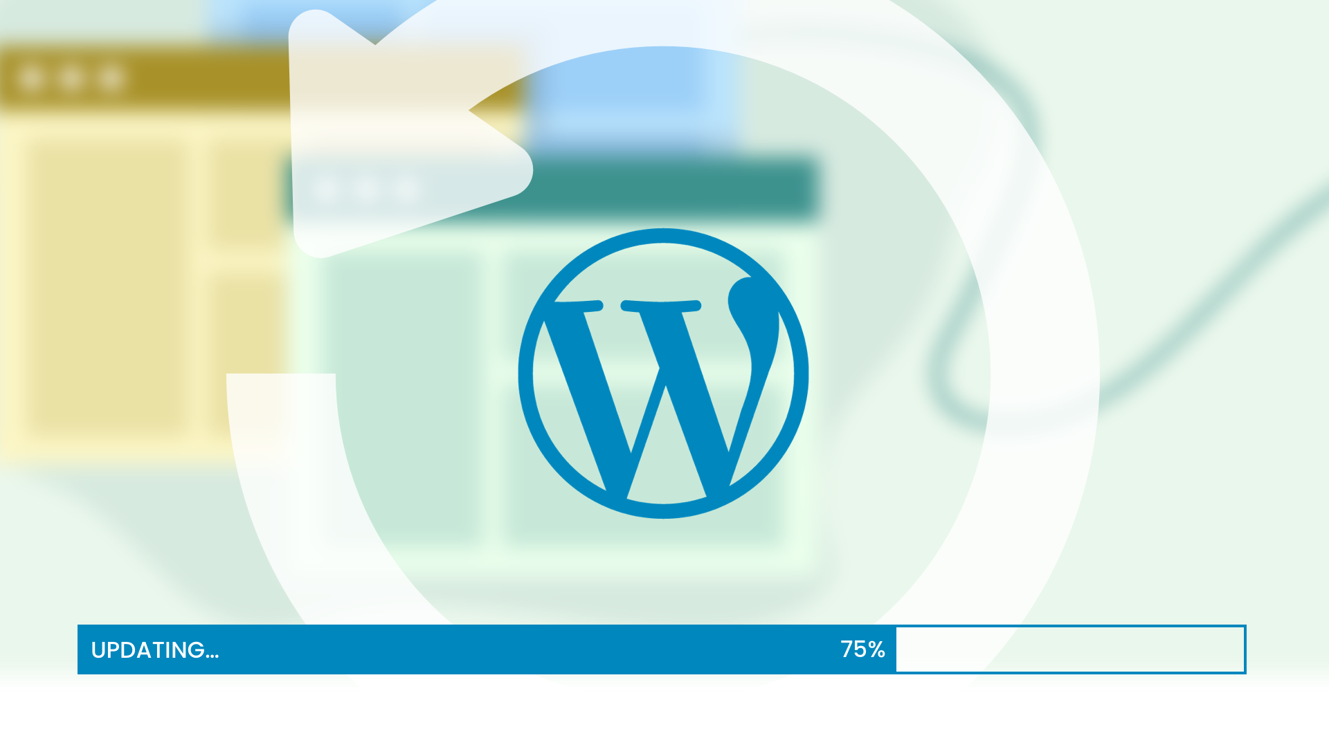 Managing Multiple WordPress Website Updates: Top 10 Tips for Webagencies