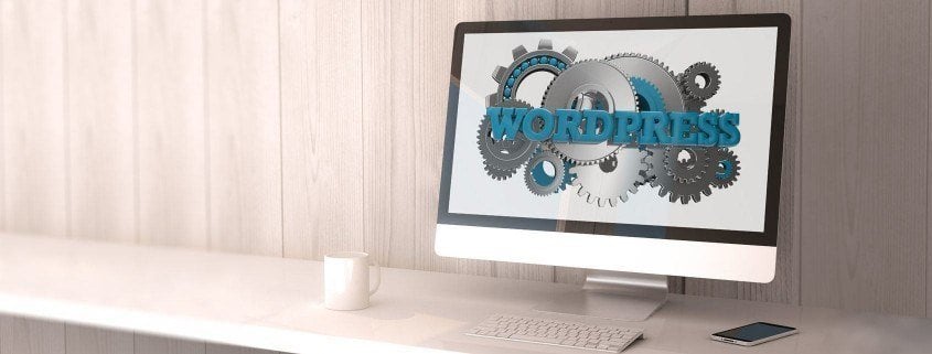Tips and tools for professional WordPress website development